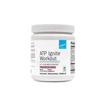 ATP Ignite Workout Berry 