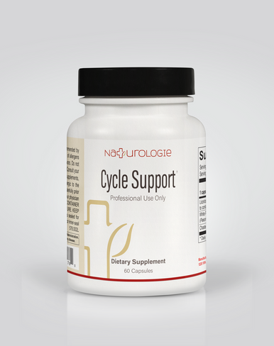 Cycle Support 